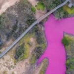 Água em lago no Havai fica cor-de-rosa. Saiba o porquê