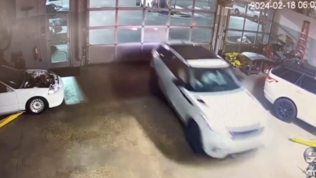 Grupo de jovens invade concessionária e rouba vários carros de luxo; veja