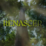 'Renascer' bate recorde na Globo e vira a novela de maior sucesso comercial da história