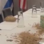 Manifestantes deixam larvas de 'presente' a Netanyahu em hotel nos EUA