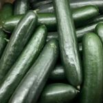 EUA e Canadá em alerta após contaminação de salmonella em pepinos