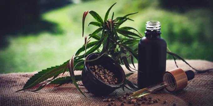 Associações cobram regras mais claras para cannabis medicinal durante feira em Fortaleza