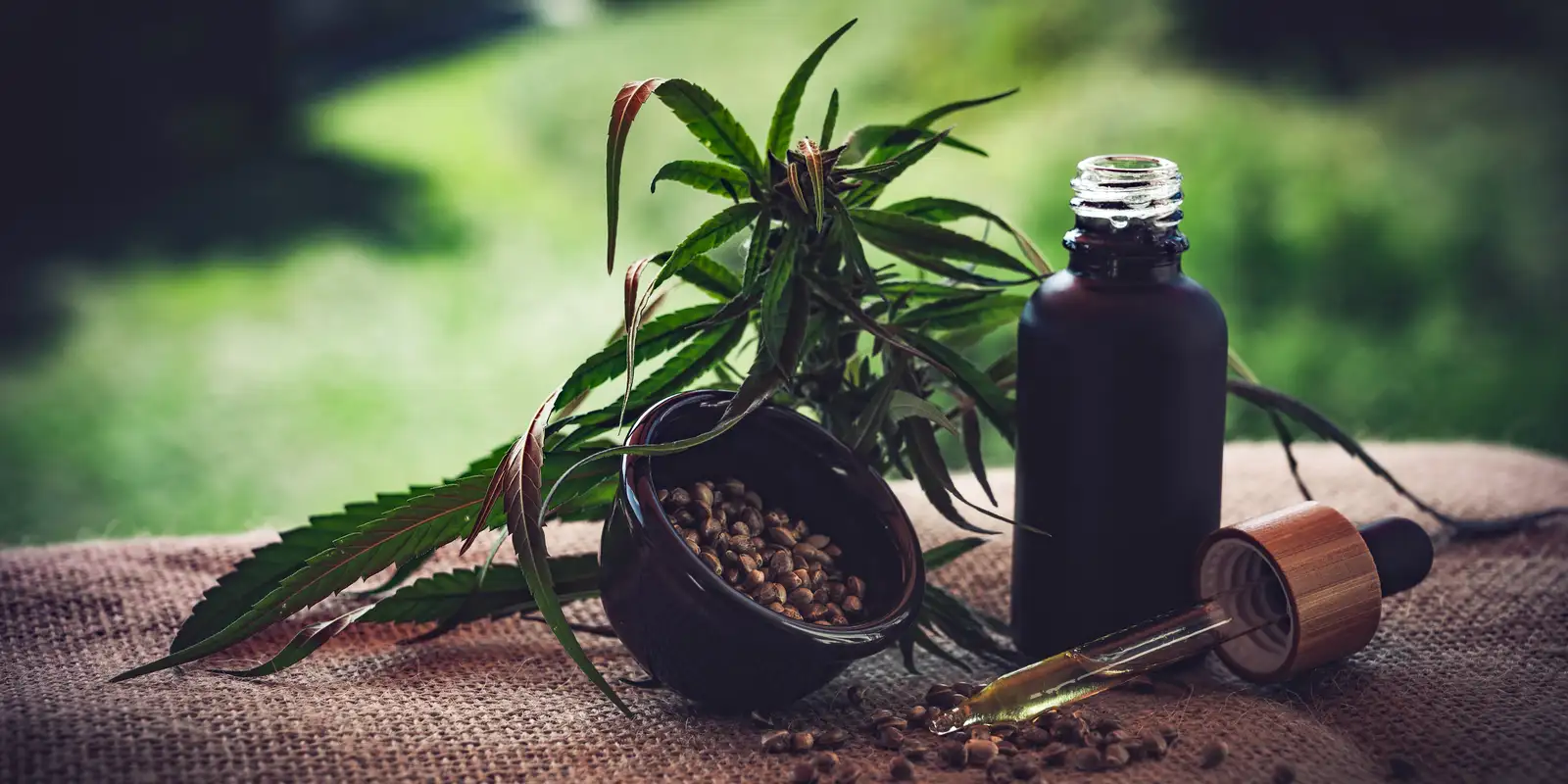 Associações cobram regras mais claras para cannabis medicinal durante feira em Fortaleza
