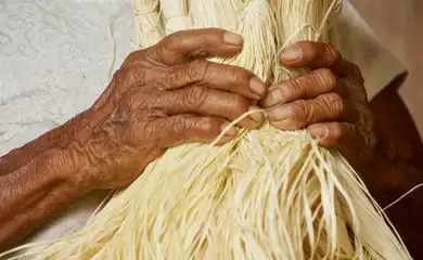 Entidades de São Paulo pedem apoio de candidatos à agroecologia