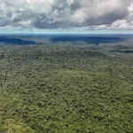 Fazenda autoriza crédito de até US$ 1 bilhão do BID para o Eco Invest Brasil