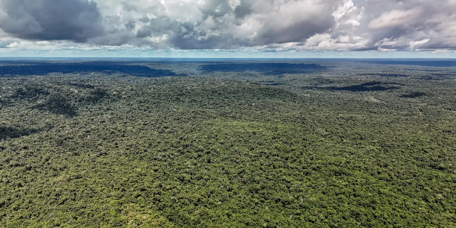 Fazenda autoriza crédito de até US$ 1 bilhão do BID para o Eco Invest Brasil