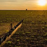 Lei amplia cobertura e prazos do seguro rural para produtores