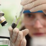 Prêmio Carolina Bori recebe inscrições de meninas e jovens cientistas até 30 de outubro