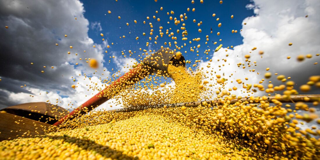 Produção agrícola brasileira alcança R$ 927,2 bilhões em 2025