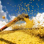 Produção agrícola brasileira alcança R$ 927,2 bilhões em 2025