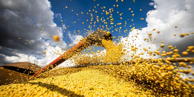 Produção agrícola brasileira alcança R$ 927,2 bilhões em 2025