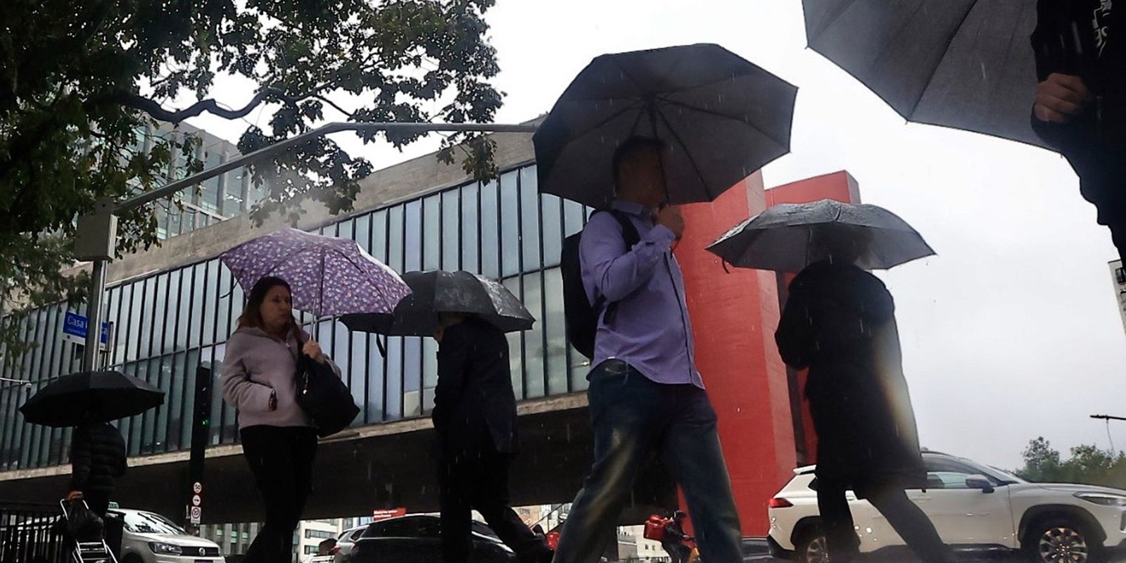 Seis cidades de São Paulo decretam emergência após chuvas no Vale do Ribeira