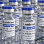 Testes clínicos da polilaminina começam em 24 de setembro em São Paulo