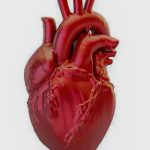 Doenças cardiovasculares matam uma pessoa a cada 72 segundos no Brasil