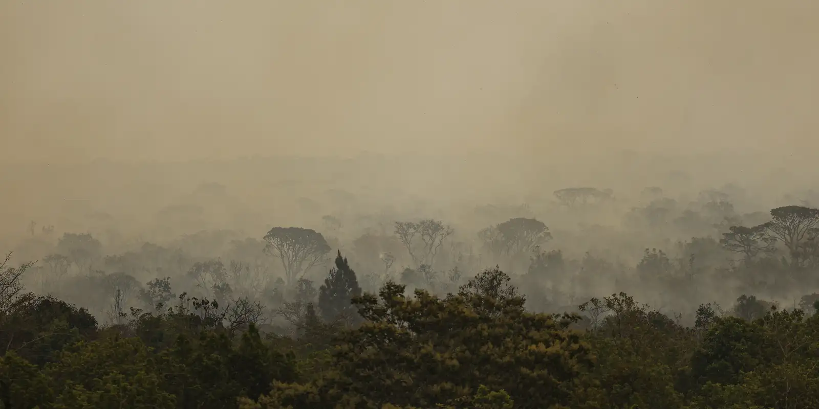 Força Nacional do SUS instala base regional em Manaus após incêndios