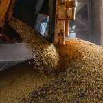 Produção brasileira de grãos deve superar 367 milhões de toneladas na safra 2026/2027