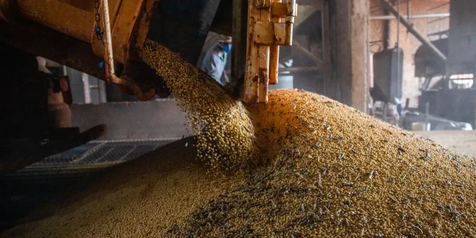 Produção brasileira de grãos deve superar 367 milhões de toneladas na safra 2026/2027