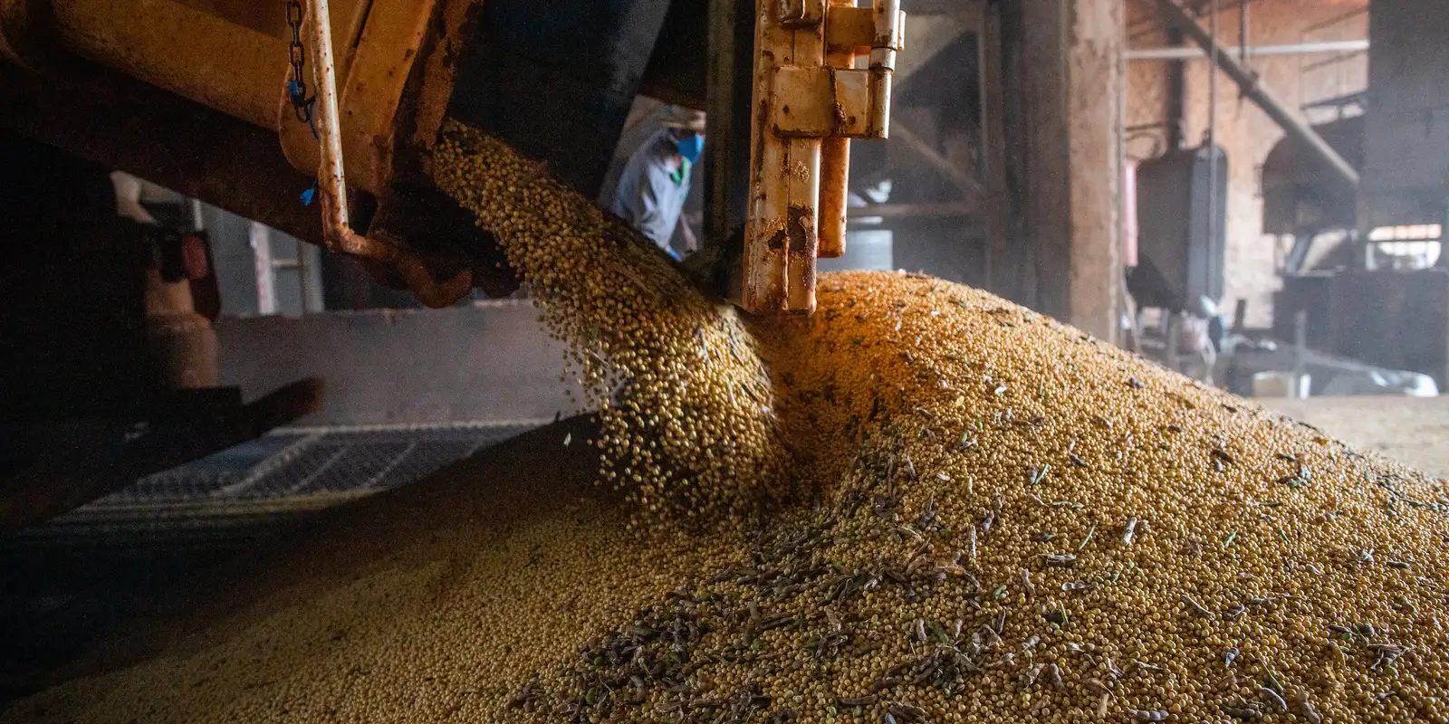 Produção brasileira de grãos deve superar 367 milhões de toneladas na safra 2026/2027