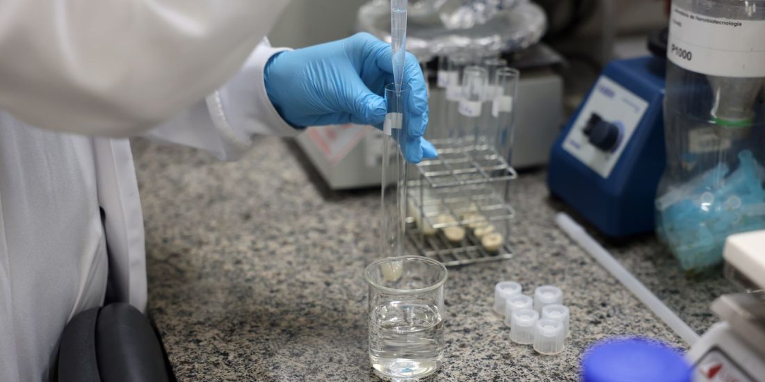 SC conclui despovoamento sanitário em granja com foco de Newcastle
