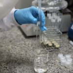 SC conclui despovoamento sanitário em granja com foco de Newcastle