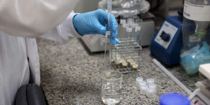 SC conclui despovoamento sanitário em granja com foco de Newcastle